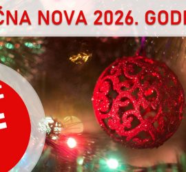 forma-auto-centar-japanska-korejska-vozila-servis-nova-godina-26-01