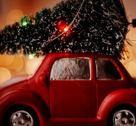 forma-auto-centar-prevoz-novogodisnje-jelke-25-01 01